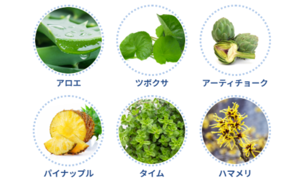 25051301_img07.png
