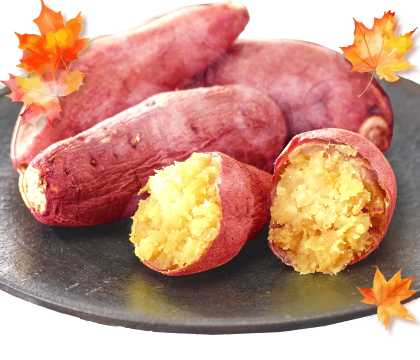 熊本芋屋長兵衛 冷凍焼きいも3袋セット (熊本県産紅はるか・500g×3)