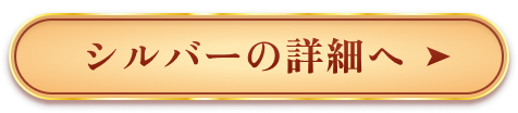 シルバーの詳細へ