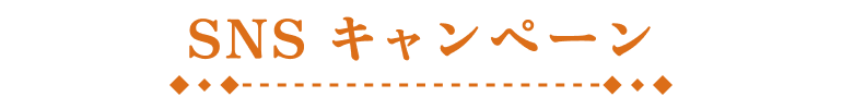 SNSキャンペーン