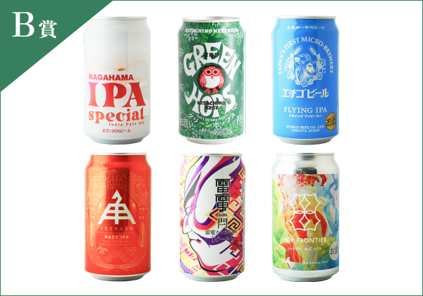 B賞 ビリヤニに合うクラフトビール(IPA)飲み比べセット 5名様