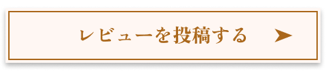 レビューを投稿する