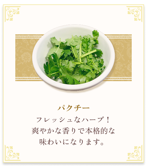 『パクチー』 フレッシュなハーブ！爽やかな香りで本格的な味わいになります。