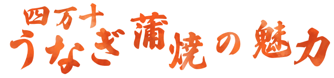 四万十うなぎ蒲焼の魅力