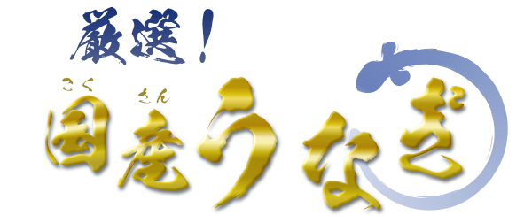 厳選！国産うなぎ