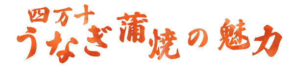 四万十うなぎ蒲焼の魅力