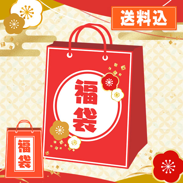 年末超得！IPAクラフトビール10本セット