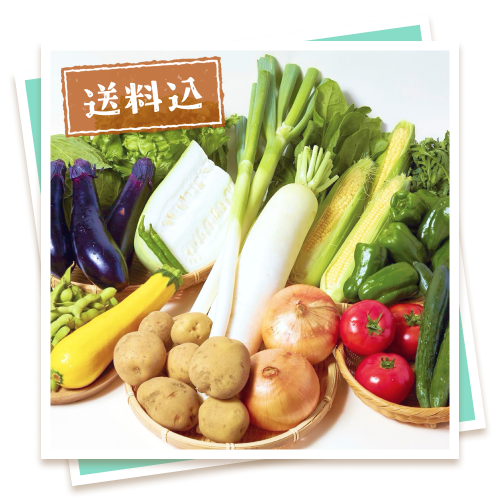 産地が厳選 岩手町旬の野菜おまかせセット（5品）
