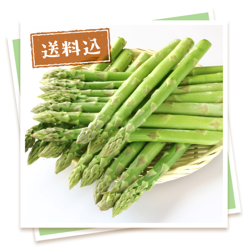 朝もぎ産地直送 北海道産グリーンアスパラ（400g×2）