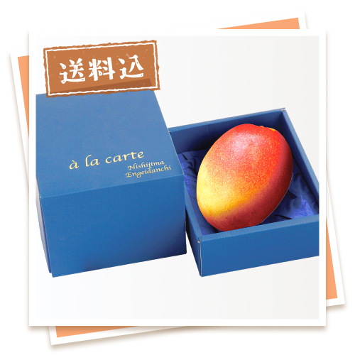 【予約販売】高糖度 高知県産アップルマンゴー（400ｇ）