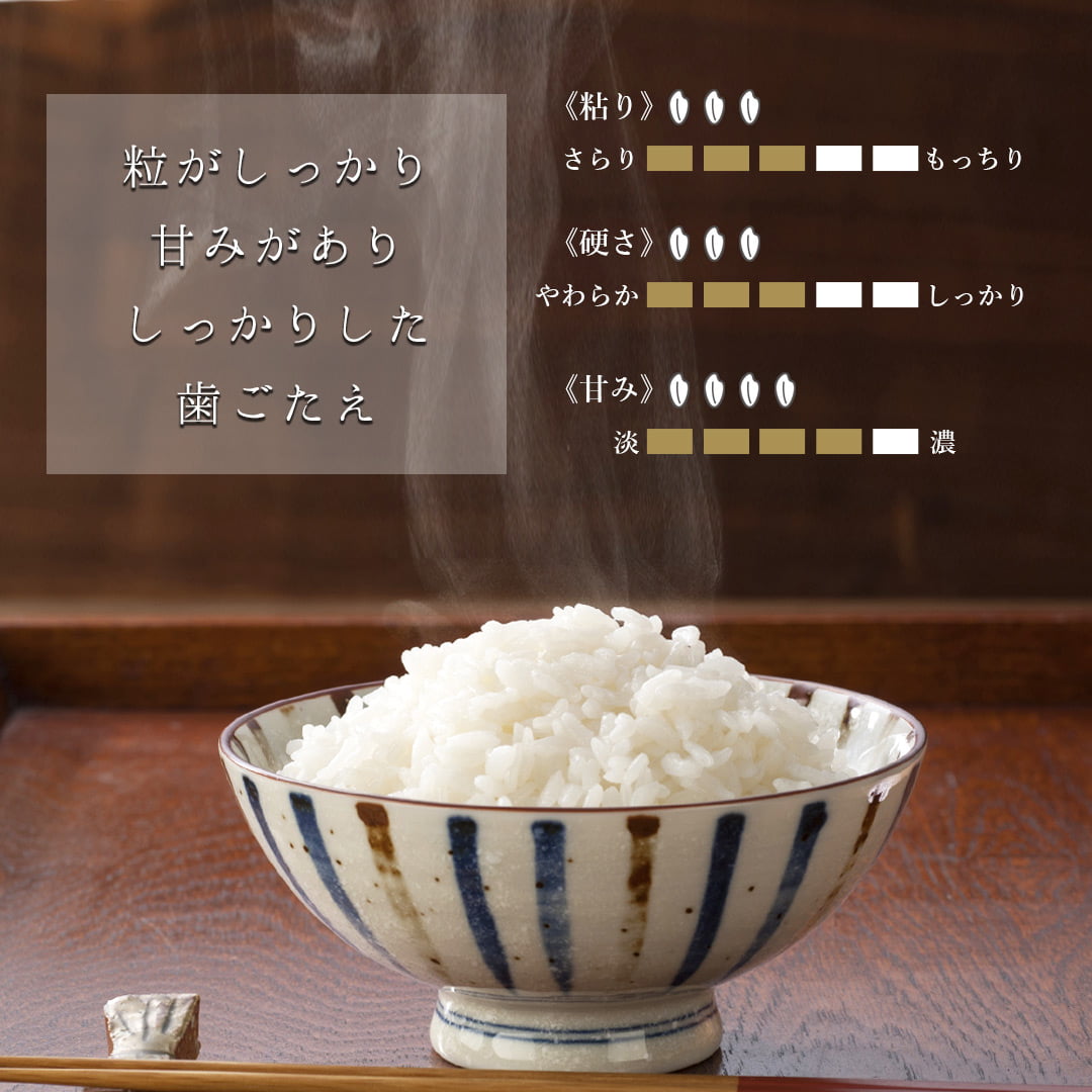商品イメージ