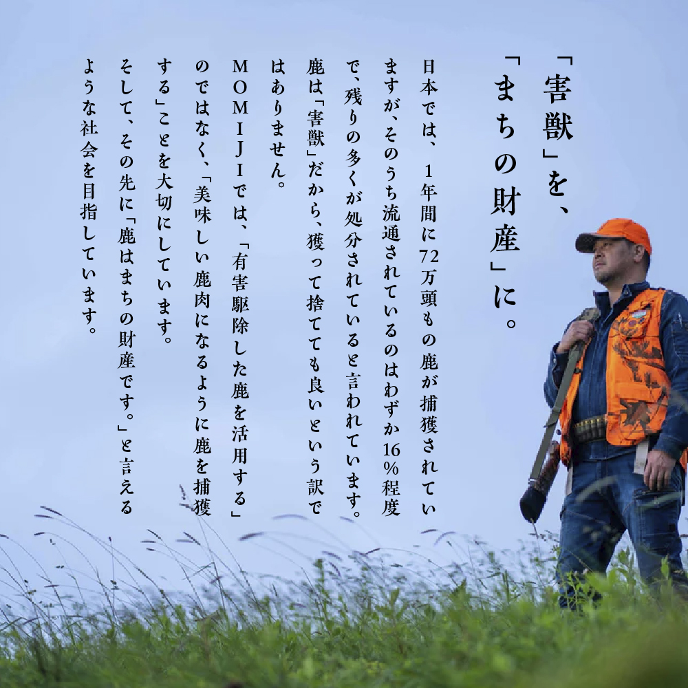 商品イメージ