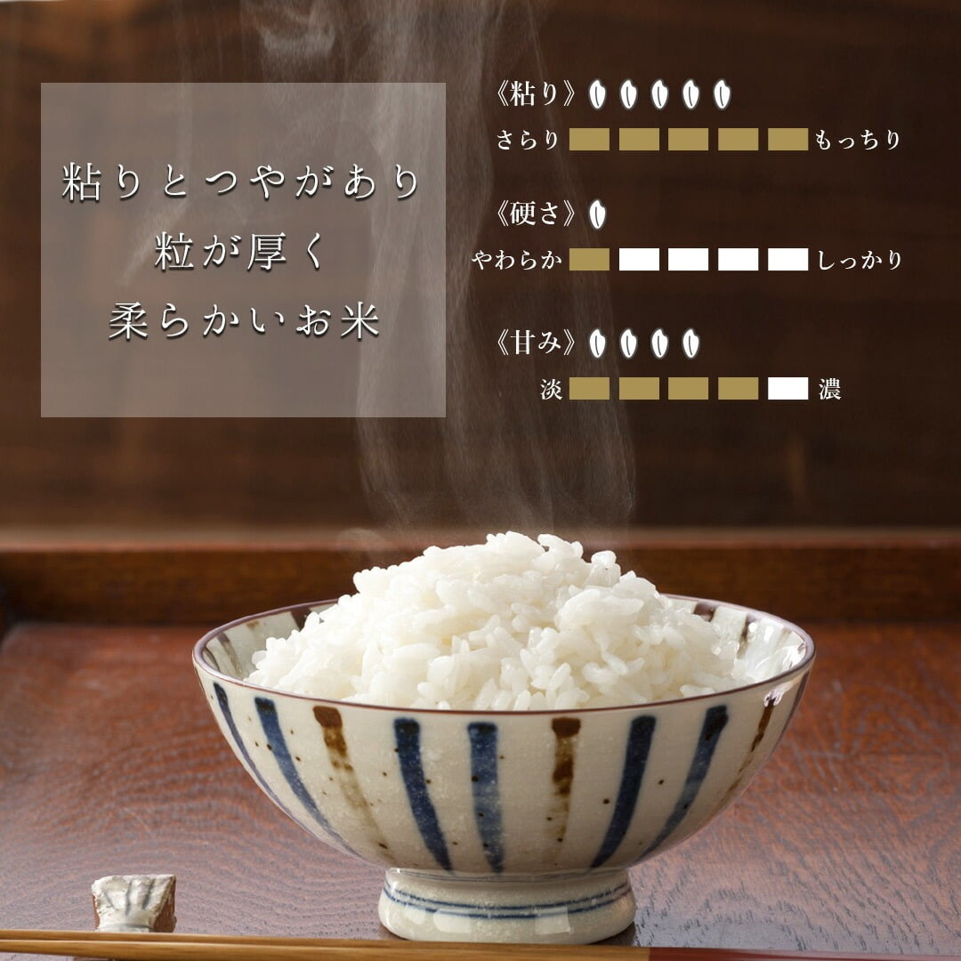 商品イメージ