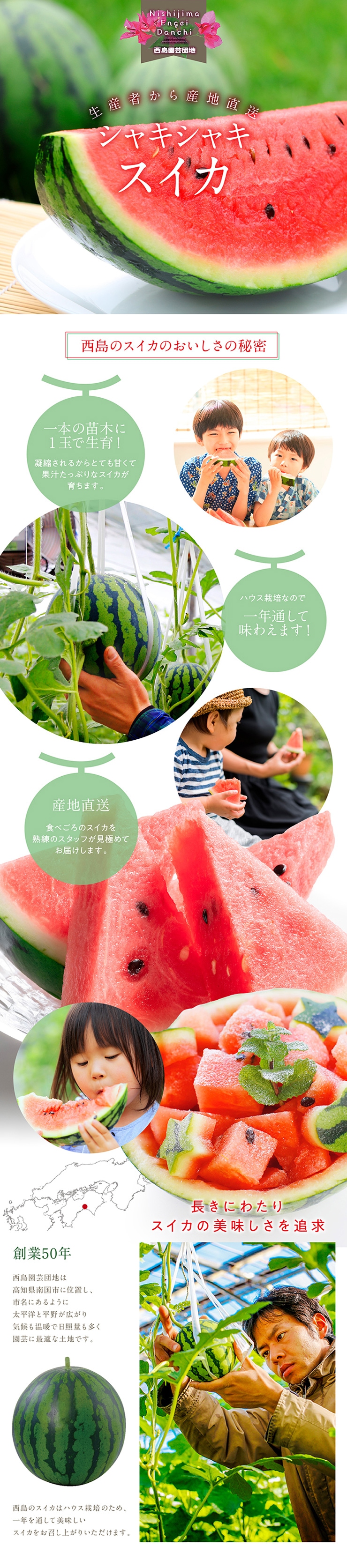 商品イメージ