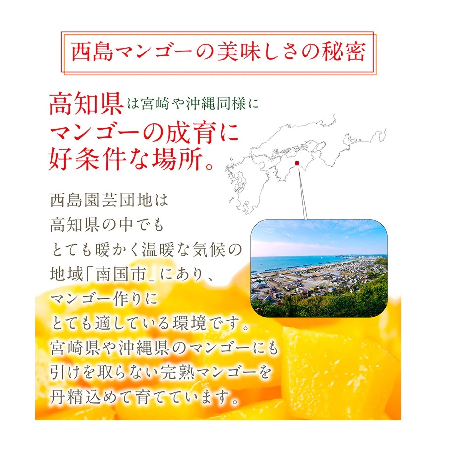 商品イメージ