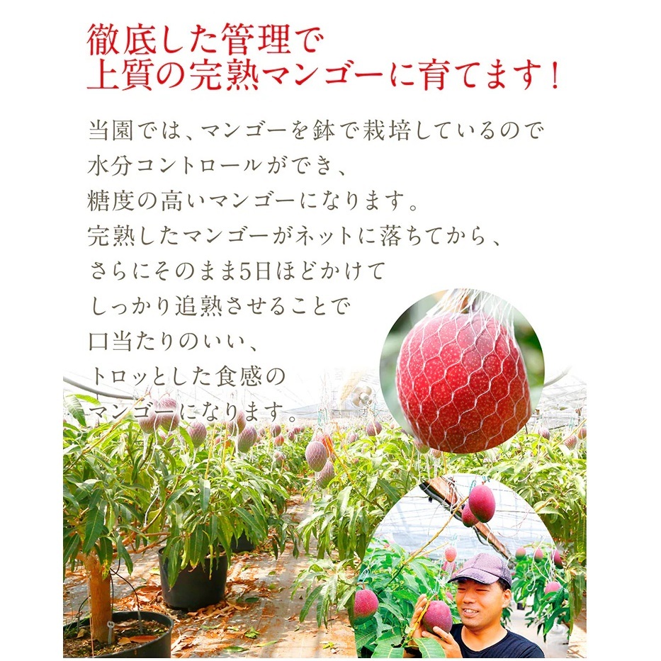 商品イメージ