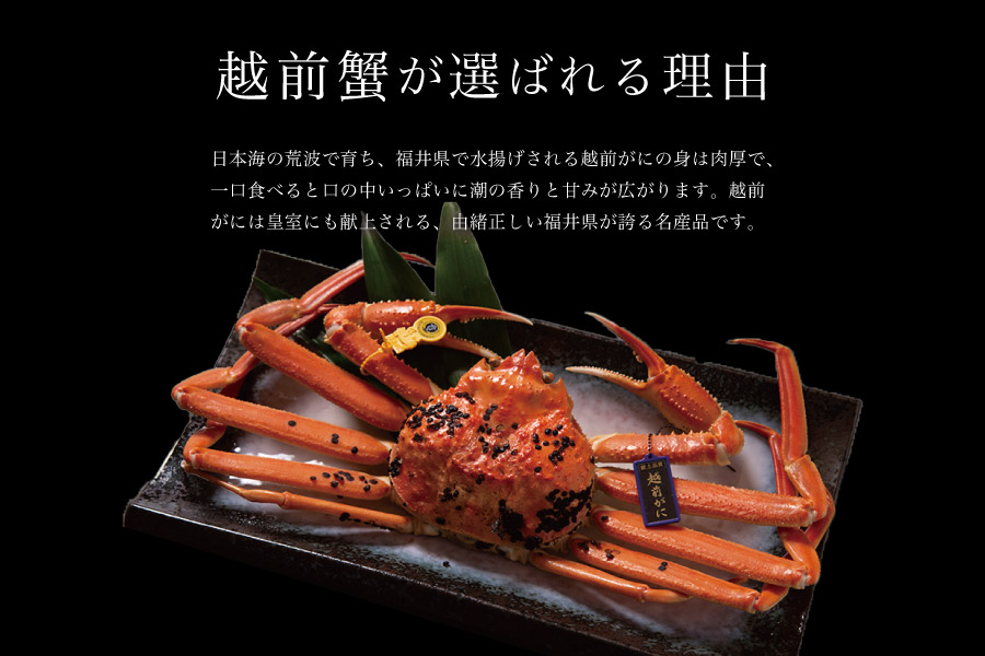 越前蟹が選ばれる理由