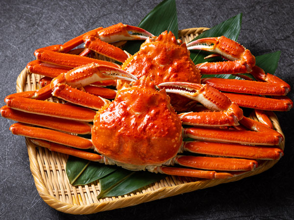 ボイルずわいがに姿2尾（2尾計1㎏）