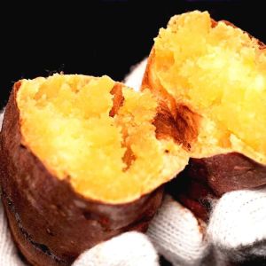 【レビュー】ヘルシオ トースター AX-WT1で焼きいもを極める！