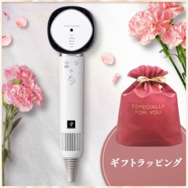 シャープ公式通販】 【無料ギフトラッピング付】プラズマクラスター