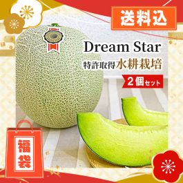 シャープ公式通販】 【数量限定】さぬきメロン Dream Star 2個セット