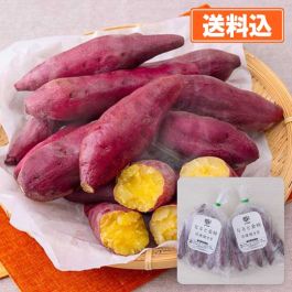シャープ公式通販】 なると金時冷凍焼き芋 500g×2|Y9-CLSG02 ｜COCORO