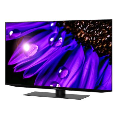 シャープ公式通販】 42V型 4K有機ELテレビ+標準配送設置サービス 