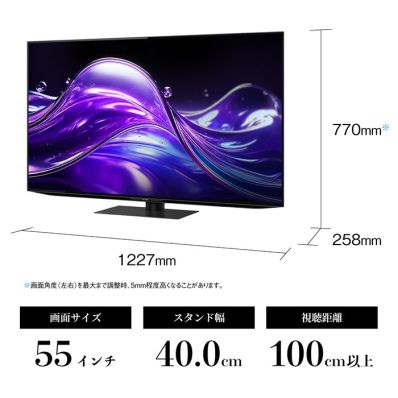 美品＊シャープ 55V型 有機EL テレビ(台付) シャープ公式通販】 55V型 4K有機ELテレビ+標準配送設置サービス