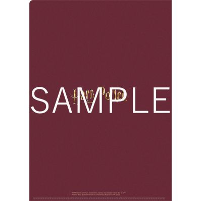 【激レア非売品】ハリーポッター非売品の初回限定のミニファイル二枚セット ハリー・ポッター ミニクリアファイルコレクション / ミニキャラ