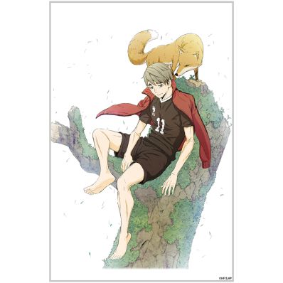 ハイキュー
秋の全国一斉強化合宿
キャラバッジコレクション
缶バッジ
月島蛍 ハイキュー!! アニメ5周年記念 SEIKOコラボウォッチ／プレミアム