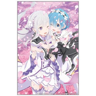 シャープ公式通販】 Re:ゼロから始める異世界生活 エミリア＆レム