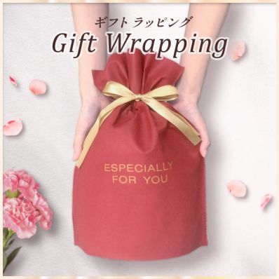 シャープ公式通販】 【無料ギフトラッピング付】プラズマクラスター