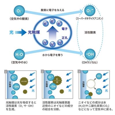 シャープ公式通販】 BP-PC01BV +Cassius 光触媒スプレー小型