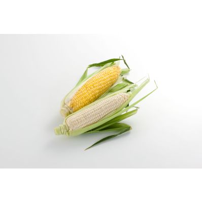 ミナミ様　茄子、ジャガイモ、とうもろこし、果物セット 茨城県小美玉市】白いとうもろこし『Juwari-じゅわり-』（ピュア
