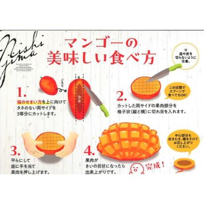 プロフィール必読 マンゴー シャープ公式通販】 【予約販売】高糖度 高知県産アップルマンゴー
