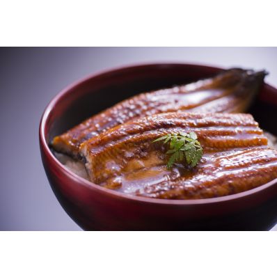 シャープ公式通販】 「鰻楽」 九州産うなぎ蒲焼2尾（計280g