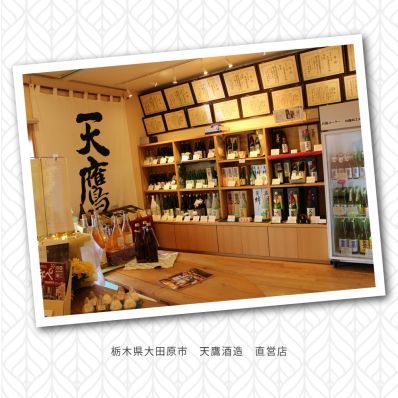 煤竹 松に鷹 茶合 猛禽狙 銘有 明る