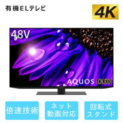 48V型　4K有機ELテレビ+標準配送設置サービス　セット