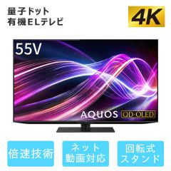 55V型　4K有機ELテレビ+標準配送設置サービス　セット