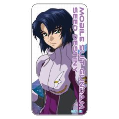 機動戦士ガンダムSEED DESTINY　ドミテリア アスラン・ザラ