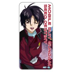 機動戦士ガンダムSEED DESTINY　ドミテリア シン・アスカ