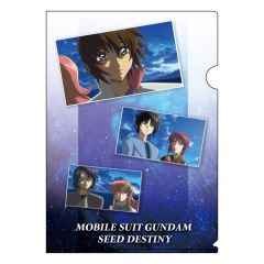 機動戦士ガンダムSEED DESTINY　A4クリアファイル 集合A