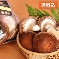【満天★青空レストラン紹介】秋田県八峰町産肉厚黒しいたけ（2玉×2パック）