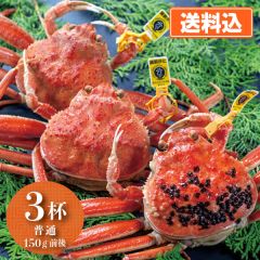 地元民が愛する 越前がにメス「せいこがに」 3杯(普通サイズ）