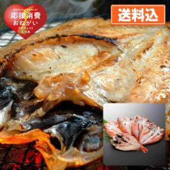 白身の王様 のどぐろ一夜干し5尾セット