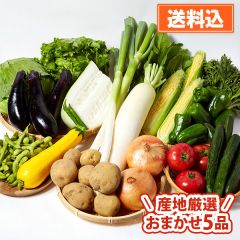 産地が厳選 岩手町旬の野菜おまかせセット（5品）