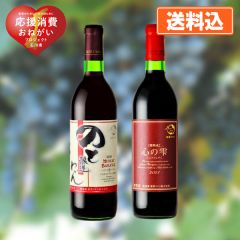能登産ぶどう使用 能登ワイン2本セット（マスカットベリーA・赤、心の雫）