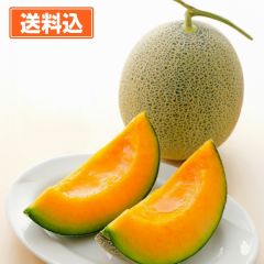 【期間限定】訳ありでお買い得 北海道産赤肉メロン2玉（1玉約1.6kg）