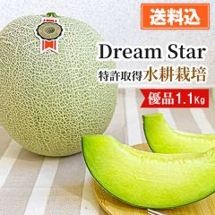 【数量限定】優品 さぬきメロン Dream Star～ホワイトスター～ （ 1.1㎏ 1玉）