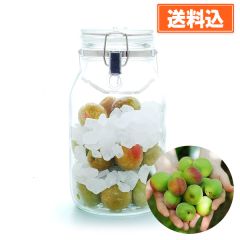 今年は梅シロップデビュー！ かんたん梅シロップキット（容器、梅、氷砂糖）